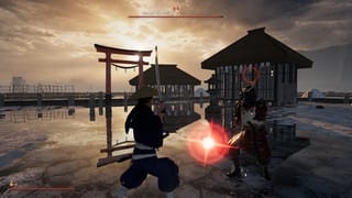 Salt Duel