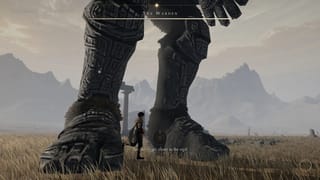 Ash Colossus