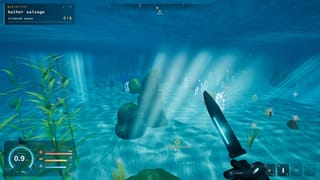 Deep Tide