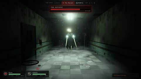 The Patient