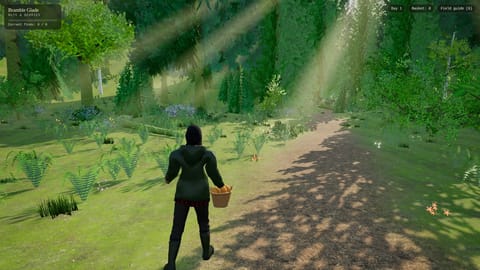 Under the Canopy