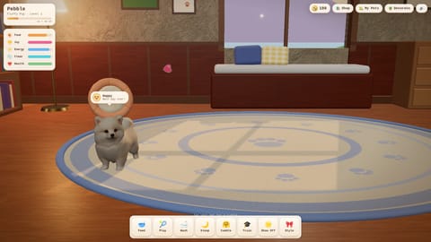 TeddyV Pocket Pets