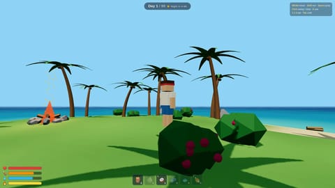 99 Days on a Tiny Island